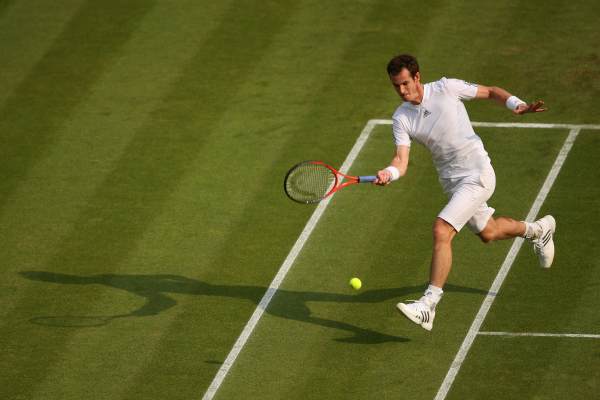 British tennis star Andy Murray during a second-round match at Wimbledon. Murray is ranked No. 2 in the world and said in a recent column he'd be up for taking on women's star Serena Williams. (Clive Brunskill/Getty Images)